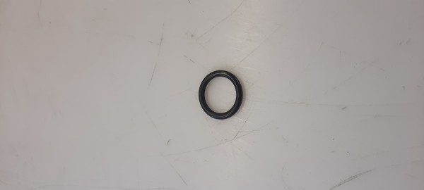 01-11-0308 O-Ring befestigung zur Wasserdüse
