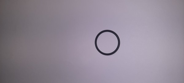 01-01-16-328 O-Ring, CityCat