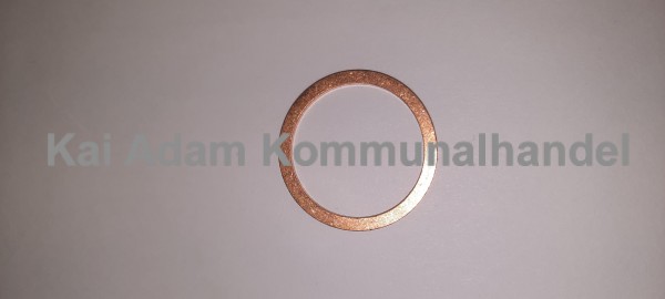 01-01-18-006 Dichtring-Cu CityCat V20