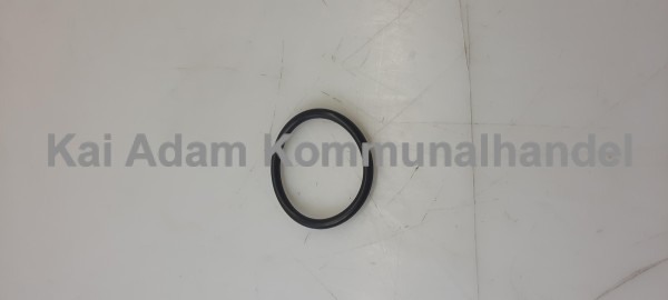 01-03-03-0245 O-Ring