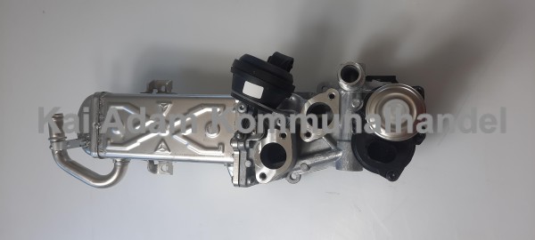 01-06-05-097 Abgasrückführungsventil