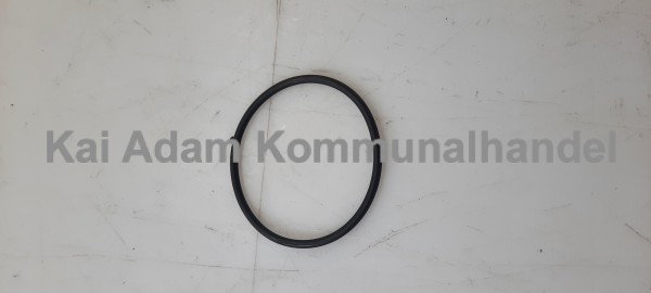 01-01-16-541 O-Ring, Kraftstofffilter