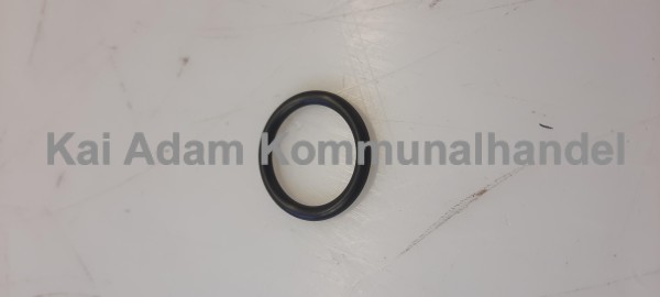 01-06-03-093 O-Ring