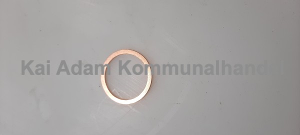 01-06-05-202 Dichtring