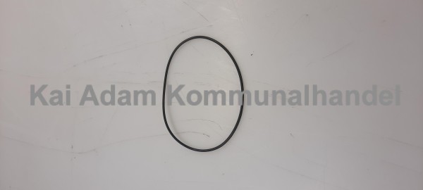 01-01-18-005 O-Ring  Einfüllstutzen Hydrauliköltank CityCat V20