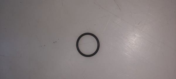 01-06-02-923 O-Ring